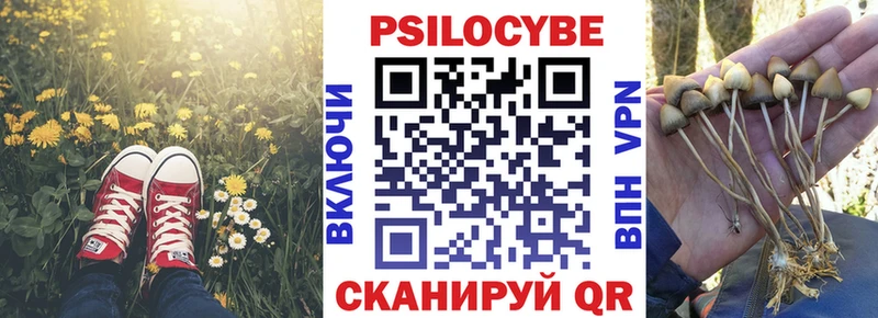 hydra вход  Городец  Галлюциногенные грибы MAGIC MUSHROOMS 